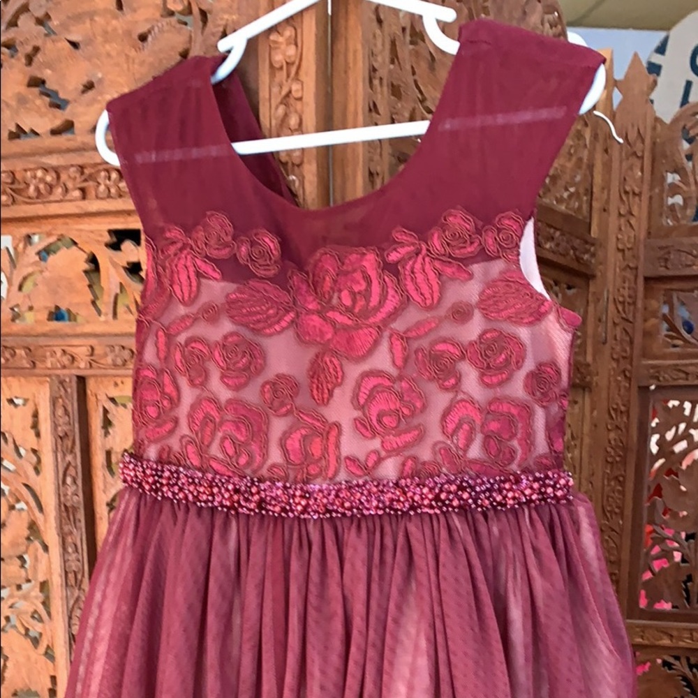 Elegant Girl’s Special Occasion Dress